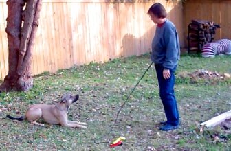 Self-Control, Impulse Control, and Stimulus Control: Widening the Conversation