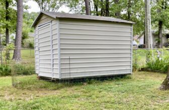 How I Saved My Dog from a Shed