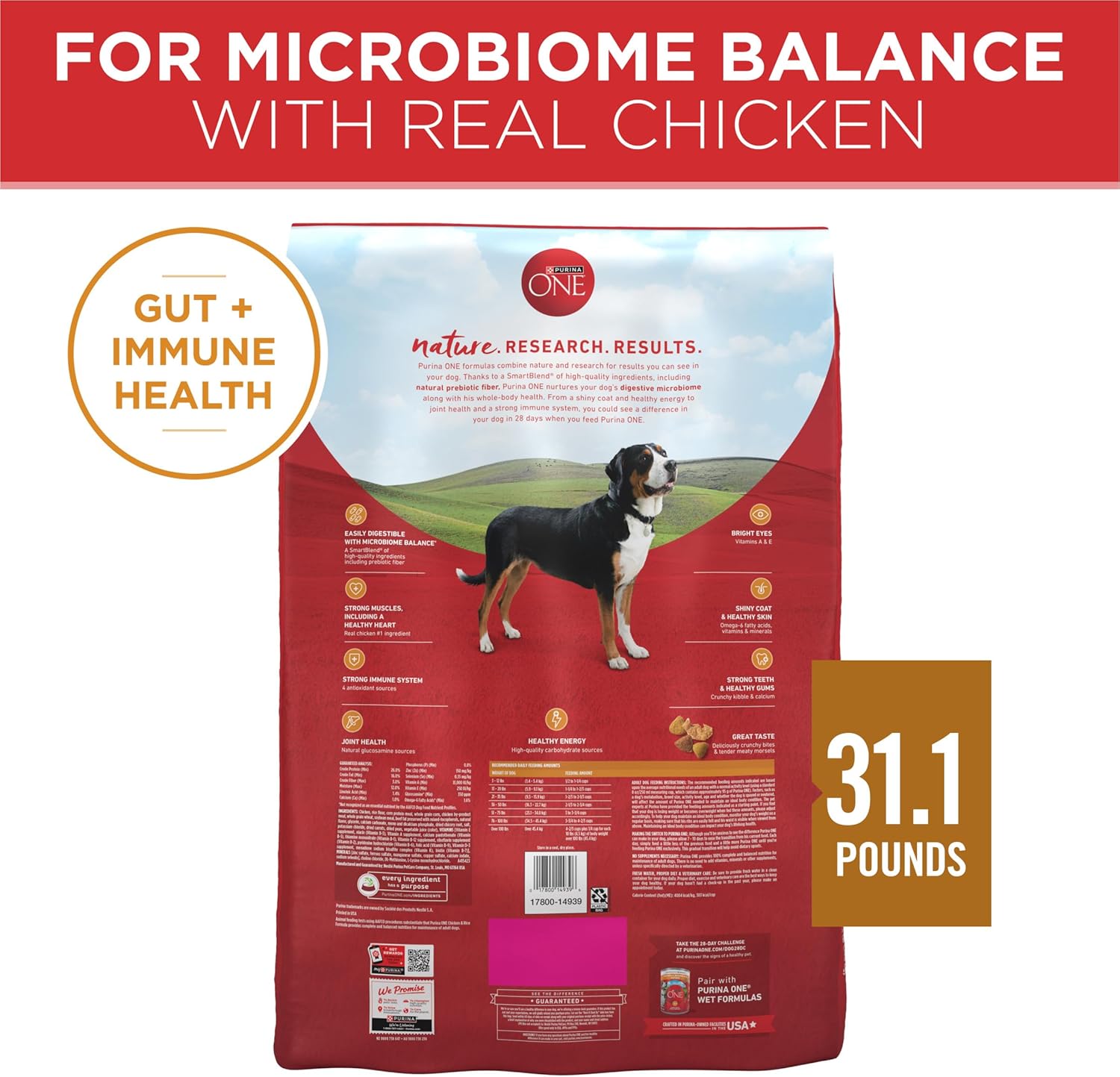 Purina ONE Chicken and Rice Formula Dry Dog Food - 31.1 lb. Bag - Image 5