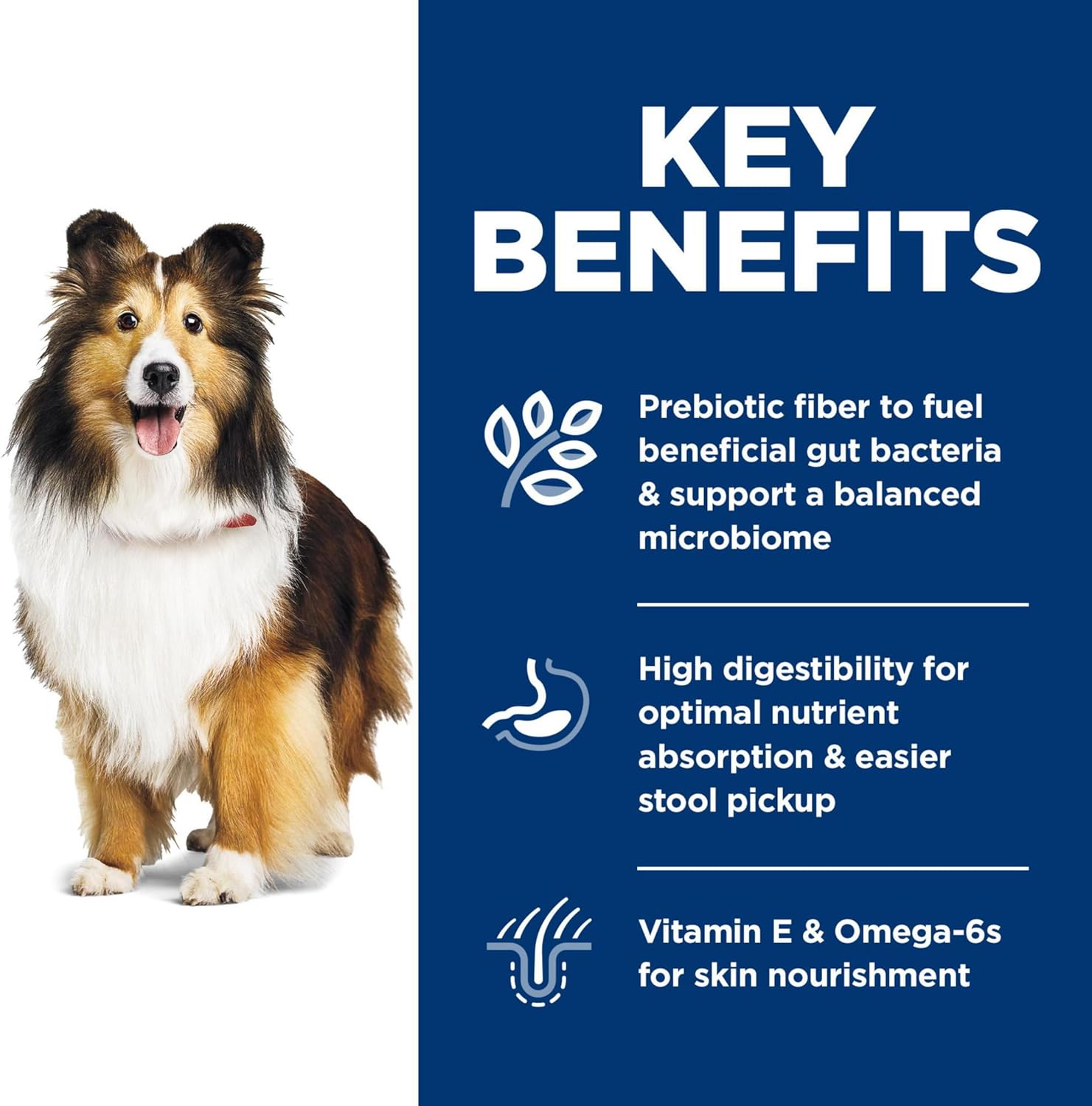 Hill's Science Diet Sensitive Stomach & Skin, Adult 1-6, Stomach & Skin Sensitivity Support, Dry Dog Food, Chicken Recipe, 30 lb Bag - Image 4