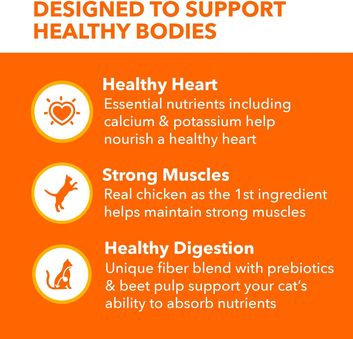 IAMS Proactive Health Adult Healthy Dry Cat Food with Chicken, 22 lb. Bag - Image 4