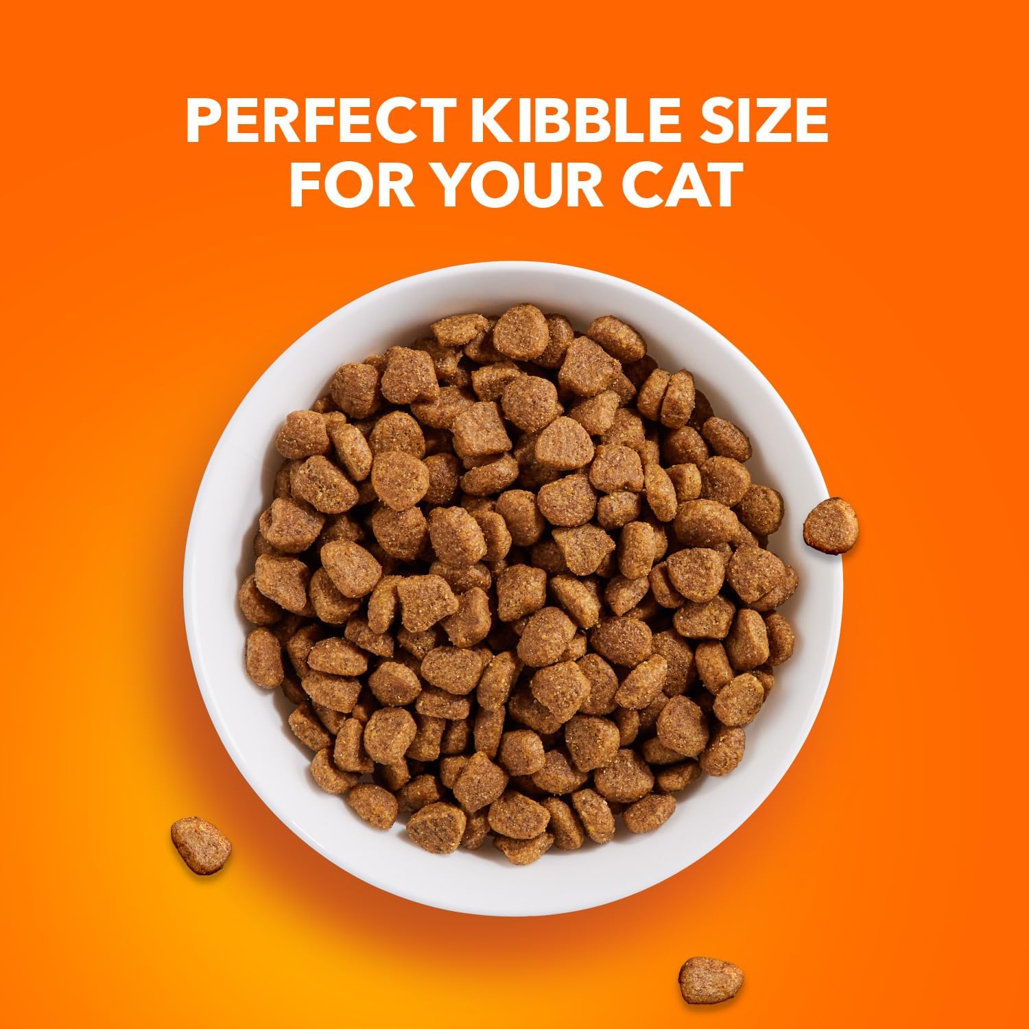 IAMS Proactive Health Adult Healthy Dry Cat Food with Chicken, 22 lb. Bag - Image 8