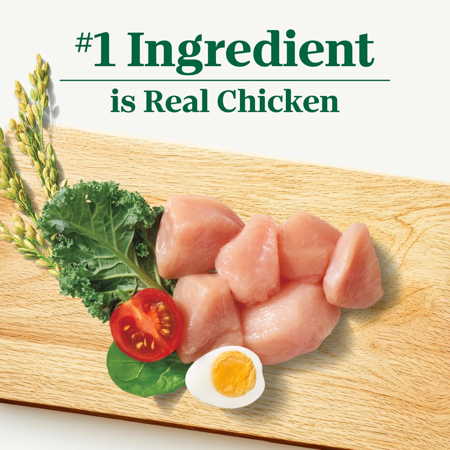 Nutro Natural Choice Chicken & Brown Rice Adult Dry Dog Food Recipe, 30 lb. Bag - Image 3