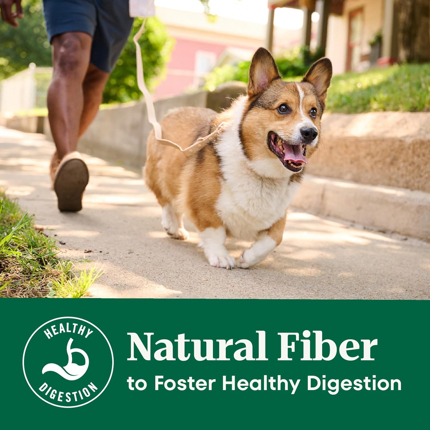 Nutro Natural Choice Chicken & Brown Rice Adult Dry Dog Food Recipe, 30 lb. Bag - Image 4