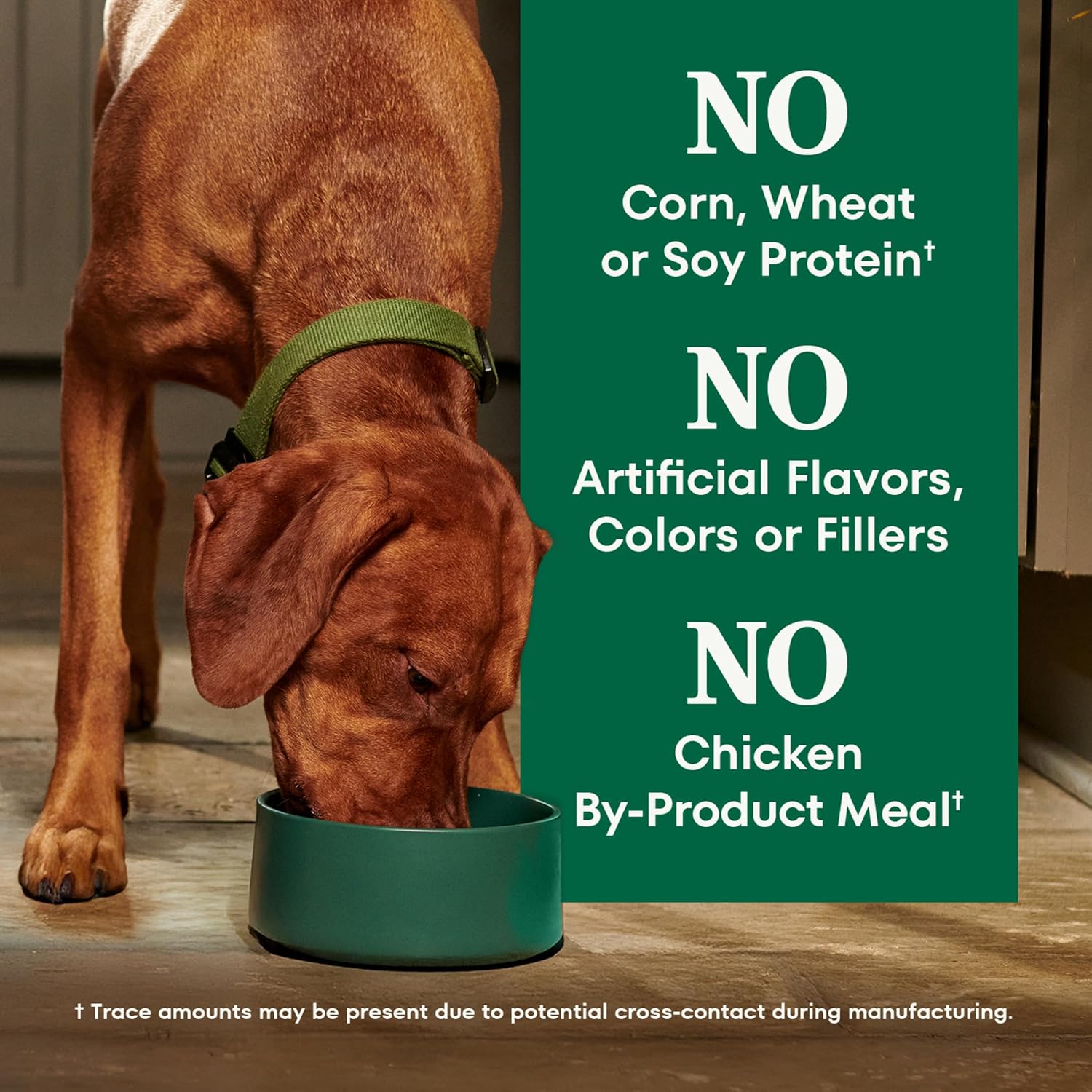 Nutro Natural Choice Chicken & Brown Rice Adult Dry Dog Food Recipe, 30 lb. Bag - Image 6