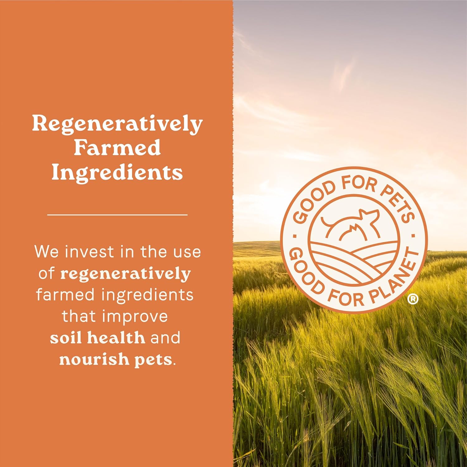 Canidae All Life Stages Multi-Protein Recipe with Chicken, Turkey, Lamb, and Fish – High Protein Premium Dry Dog Food for All Ages, Breeds, and Sizes– 40 lbs. - Image 7