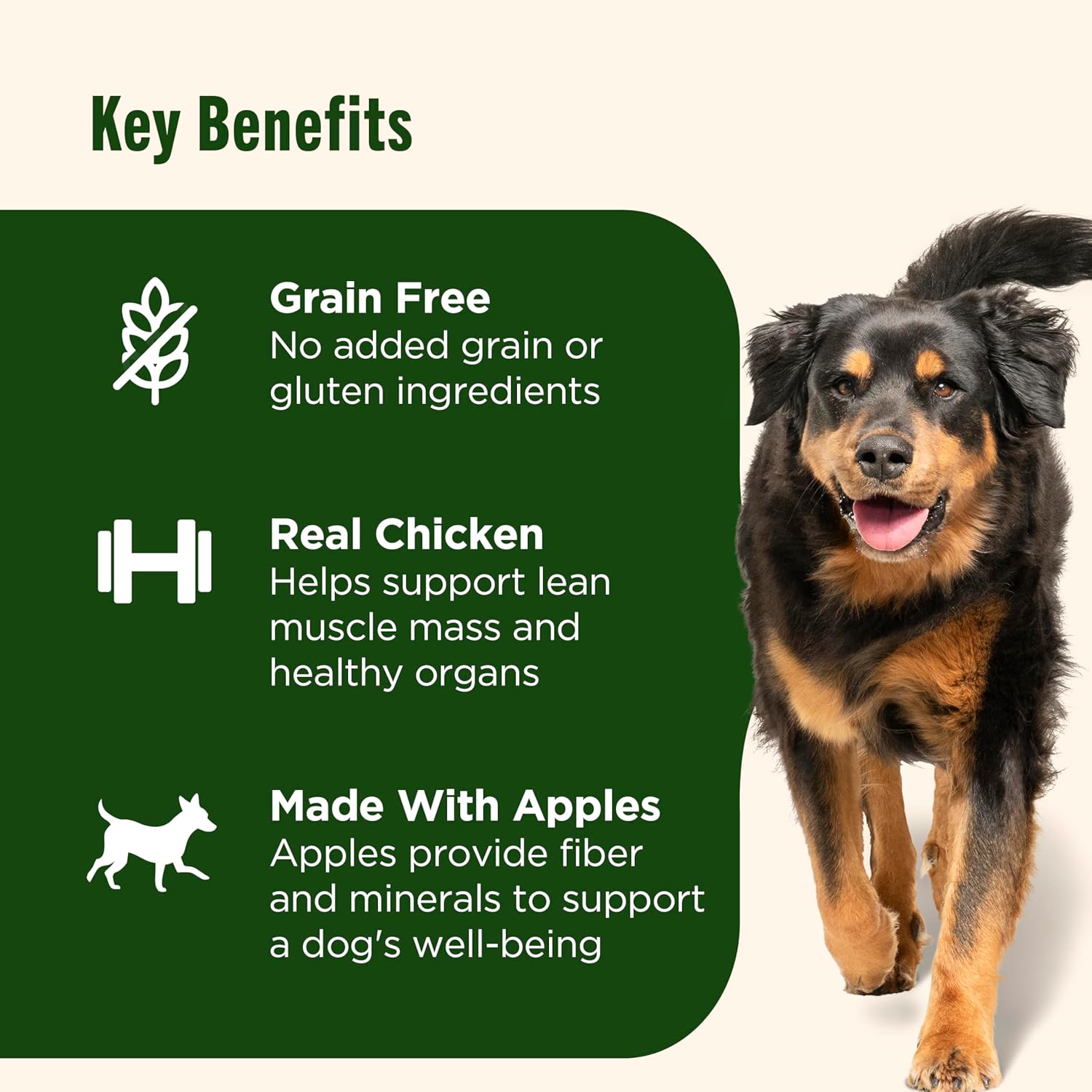 Nutrish Grain Free Real Chicken & Apple Recipe Premium Paté Wet Dog Food, 13 oz. Can, 12 Count, Packaging May Vary (Rachael Ray) - Image 4