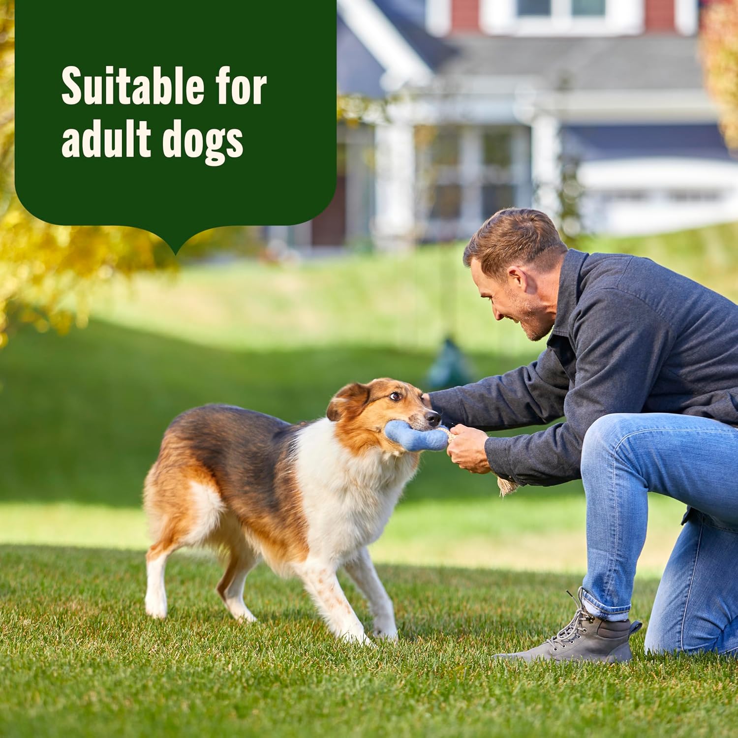 Nutrish Grain Free Real Chicken & Apple Recipe Premium Paté Wet Dog Food, 13 oz. Can, 12 Count, Packaging May Vary (Rachael Ray) - Image 6