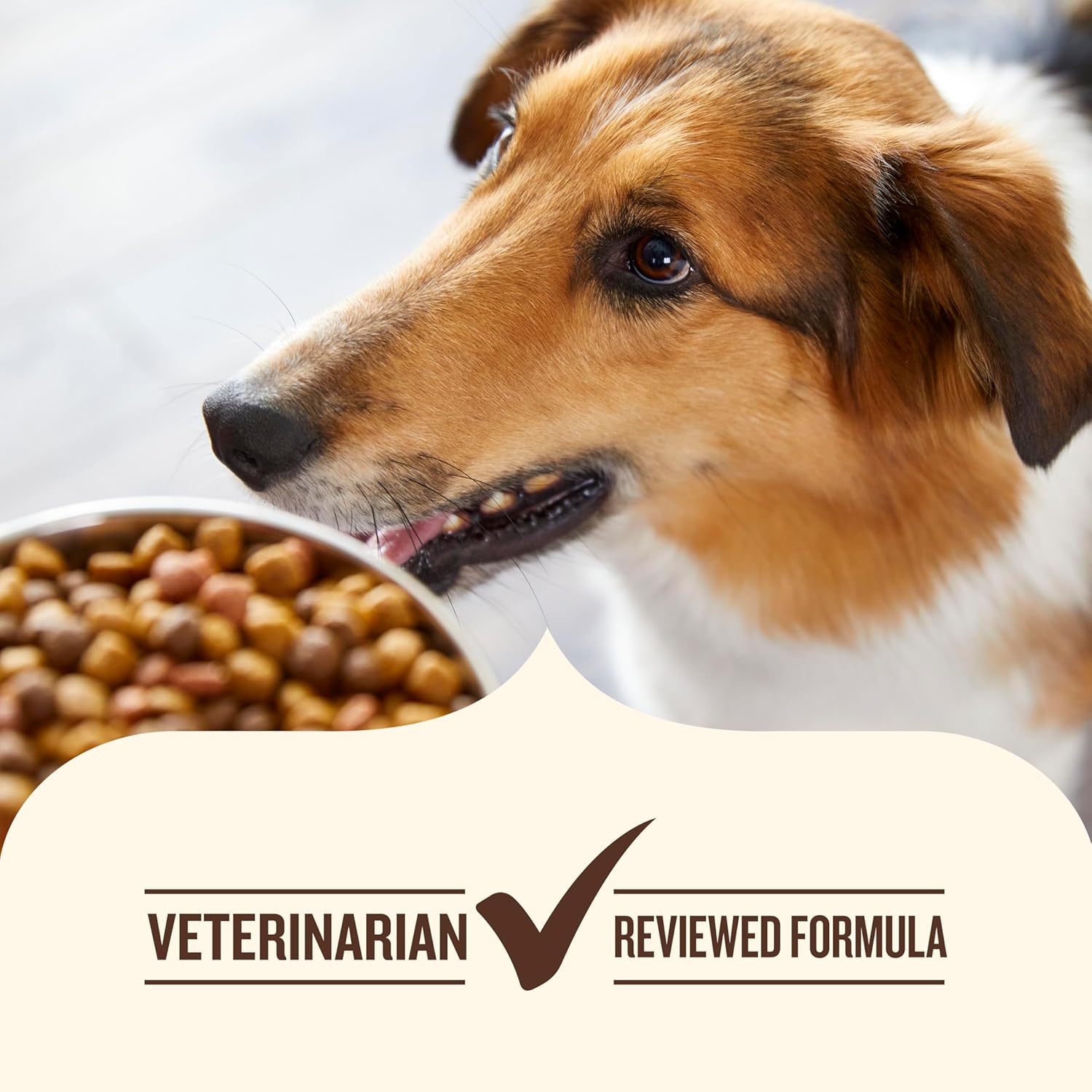 Nutrish Grain Free Real Chicken & Apple Recipe Premium Paté Wet Dog Food, 13 oz. Can, 12 Count, Packaging May Vary (Rachael Ray) - Image 7