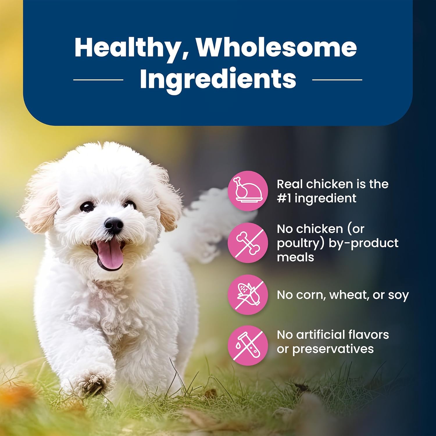 Blue Buffalo Life Protection Formula Adult Small Breed Dry Dog Food, Supports High Energy Needs, Made with Natural Ingredients, Chicken & Brown Rice Recipe, 15-lb Bag - Image 6