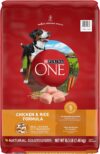 Purina ONE Chicken and Rice Formula Dry Dog Food - 16.5 lb. Bag