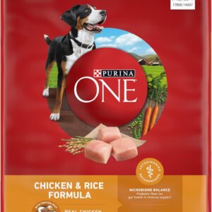 Purina ONE Chicken and Rice Formula Dry Dog Food - 16.5 lb. Bag