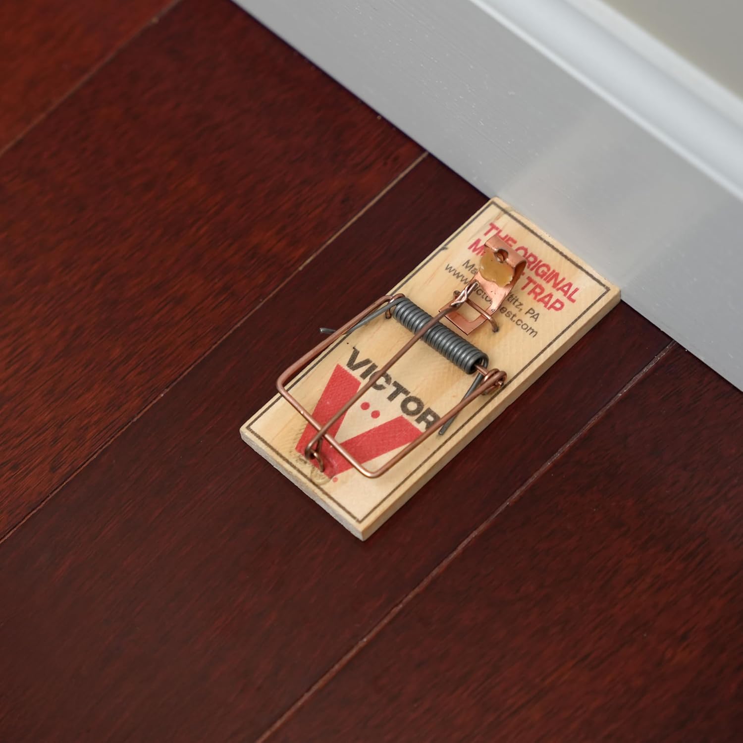 Victor Mouse Traps M150-12, Metal Pedal, Sustainably Sourced FSC Wood, Wooden Mouse Traps, 12 Metal Pedal Traps - Image 10