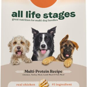 Canidae All Life Stages Multi-Protein Recipe with Chicken, Turkey, Lamb, and Fish – High Protein Premium Dry Dog Food for All Ages, Breeds, and Sizes– 40 lbs.