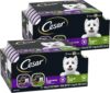 Cesar Wet Dog Food Classic Loaf in Sauce Top Sirloin & Grilled Chicken Flavors Variety Pack, 3.5 oz. Easy Peel Trays, (12 Count, Pack of 2)