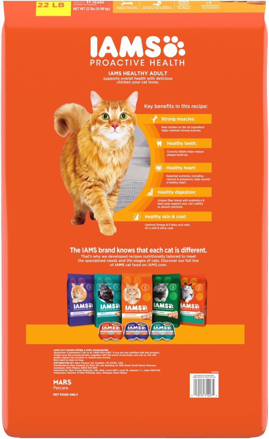 IAMS Proactive Health Adult Healthy Dry Cat Food with Chicken, 22 lb. Bag - Image 2