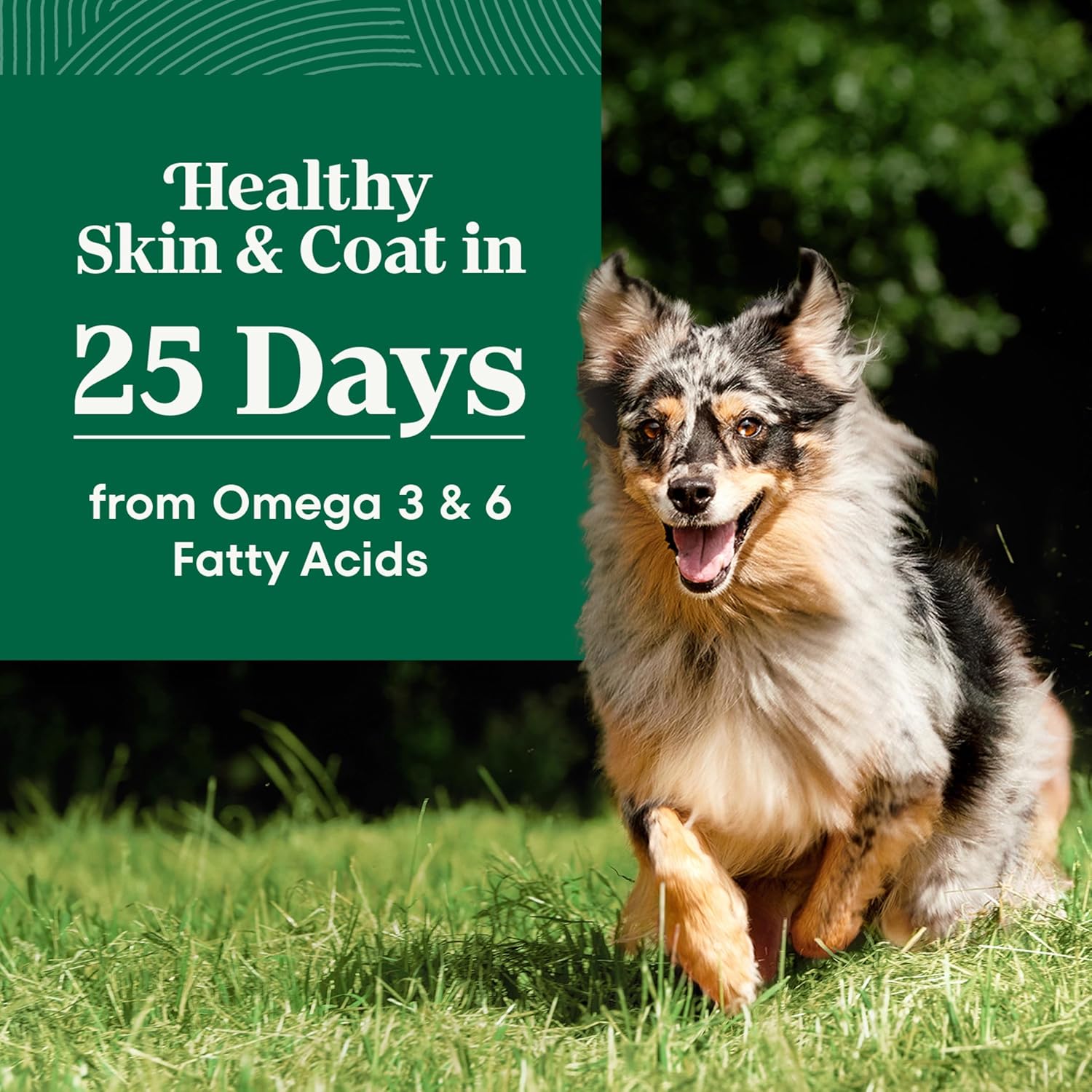 Nutro Natural Choice Chicken & Brown Rice Adult Dry Dog Food Recipe, 30 lb. Bag - Image 2