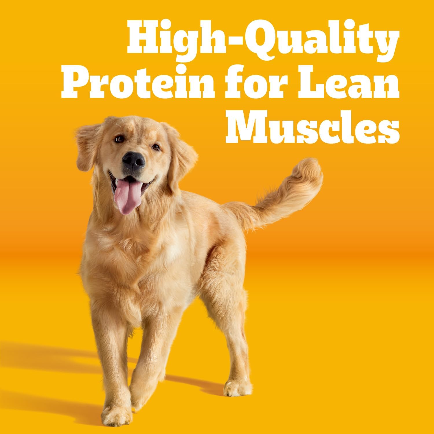 Pedigree Complete Nutrition Adult Dry Dog Food, Grilled Steak & Vegetable Flavor, 18 lb. Bag - Image 2