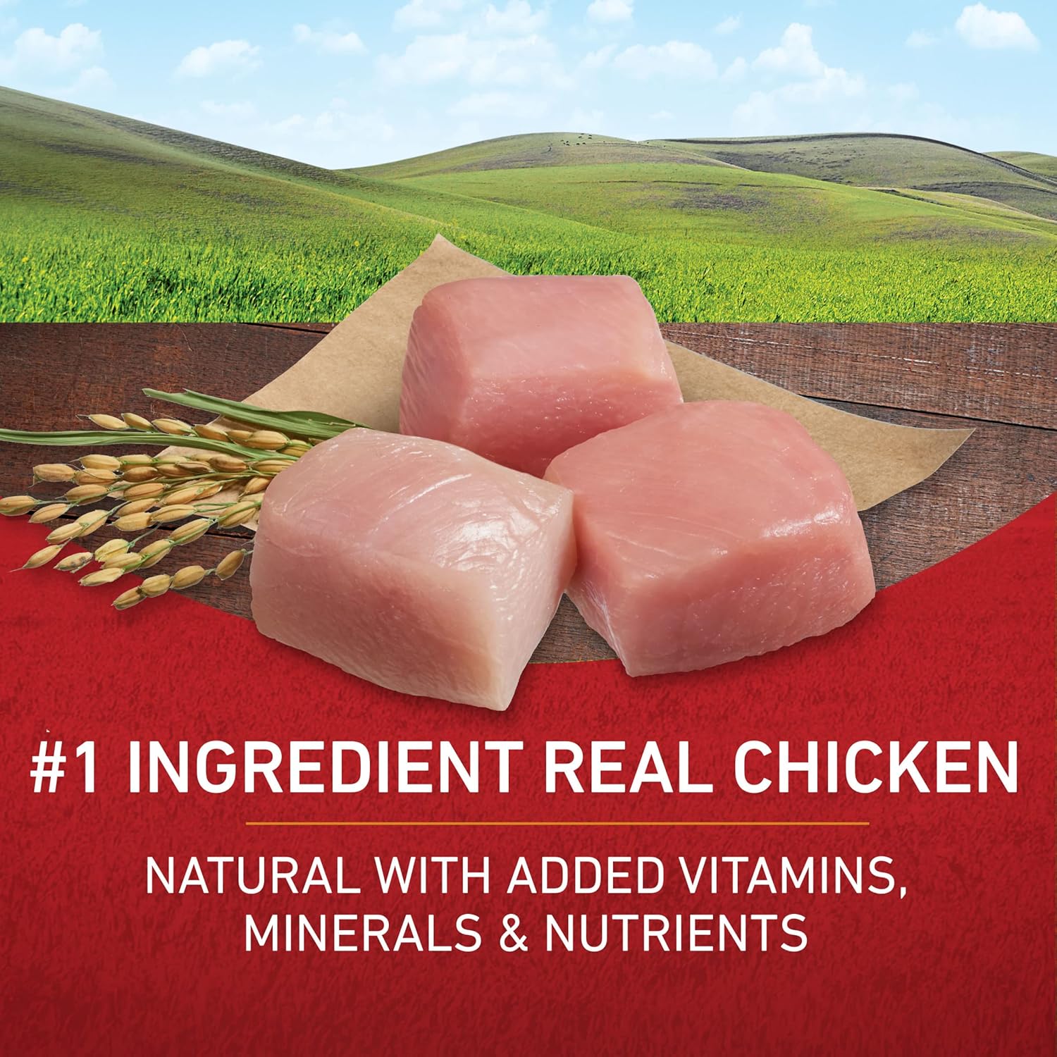 Purina ONE Chicken and Rice Formula Dry Dog Food - 31.1 lb. Bag - Image 2