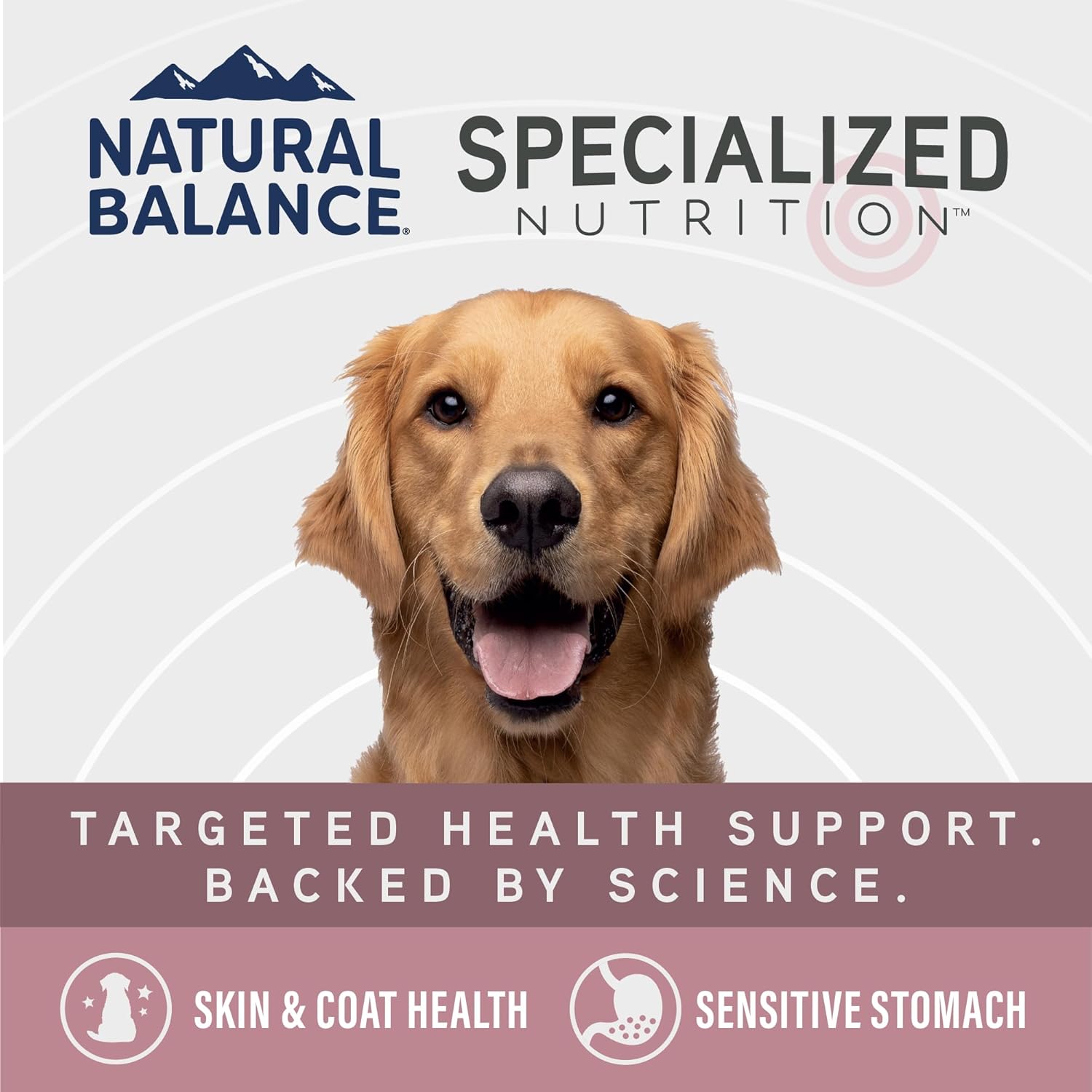 Natural Balance Specialized Nutrition Dry Dog Food with Salmon and Oatmeal for Dogs, Sensitive Skin & Stomach Dog Food, Natural Ingredients with Added Vitamins & Minerals - 22 lbs - Image 4