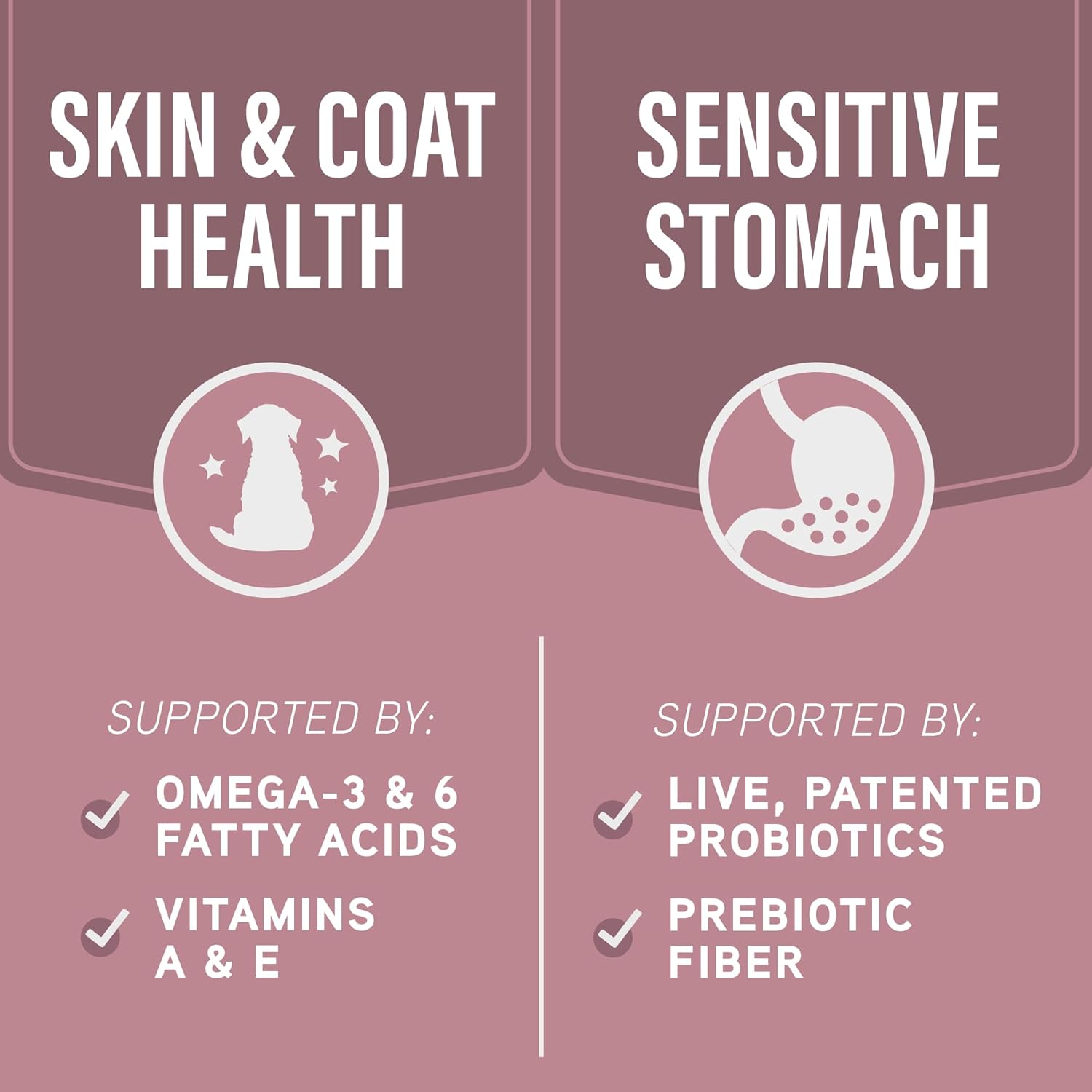 Natural Balance Specialized Nutrition Dry Dog Food with Salmon and Oatmeal for Dogs, Sensitive Skin & Stomach Dog Food, Natural Ingredients with Added Vitamins & Minerals - 22 lbs - Image 5