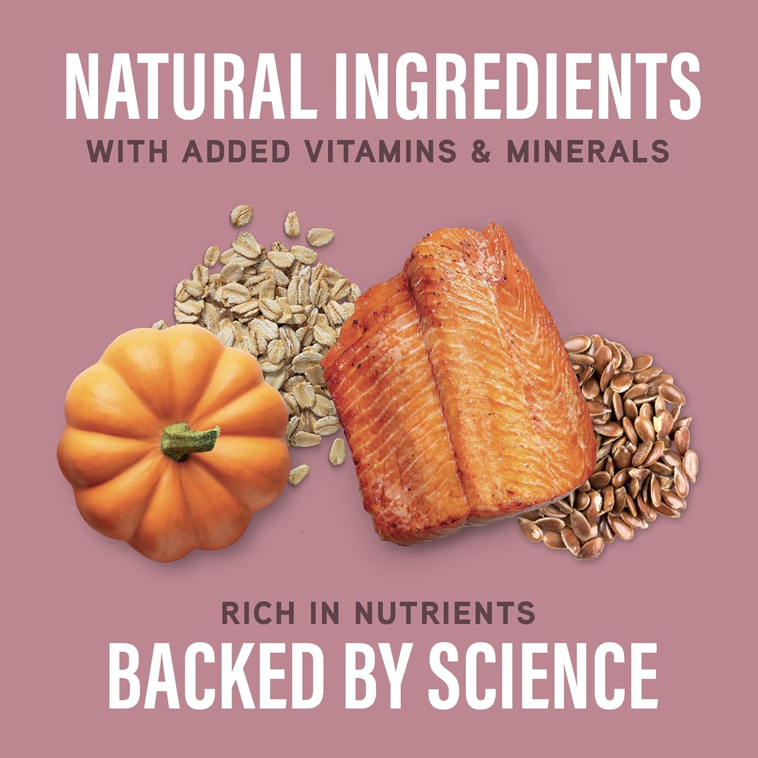 Natural Balance Specialized Nutrition Dry Dog Food with Salmon and Oatmeal for Dogs, Sensitive Skin & Stomach Dog Food, Natural Ingredients with Added Vitamins & Minerals - 22 lbs - Image 6