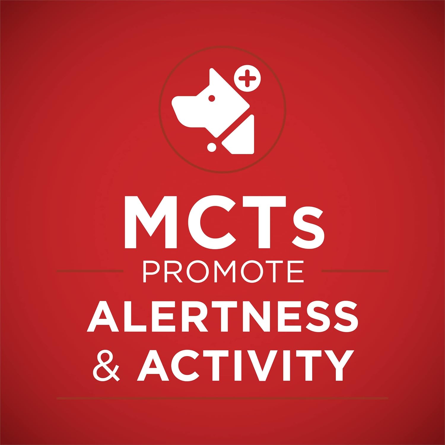 Purina ONE Plus Classic Ground Vibrant Maturity Adult 7 Plus Turkey And Barley Entree Senior Dog Food - (Pack of 12) 13 oz. Cans - Image 3