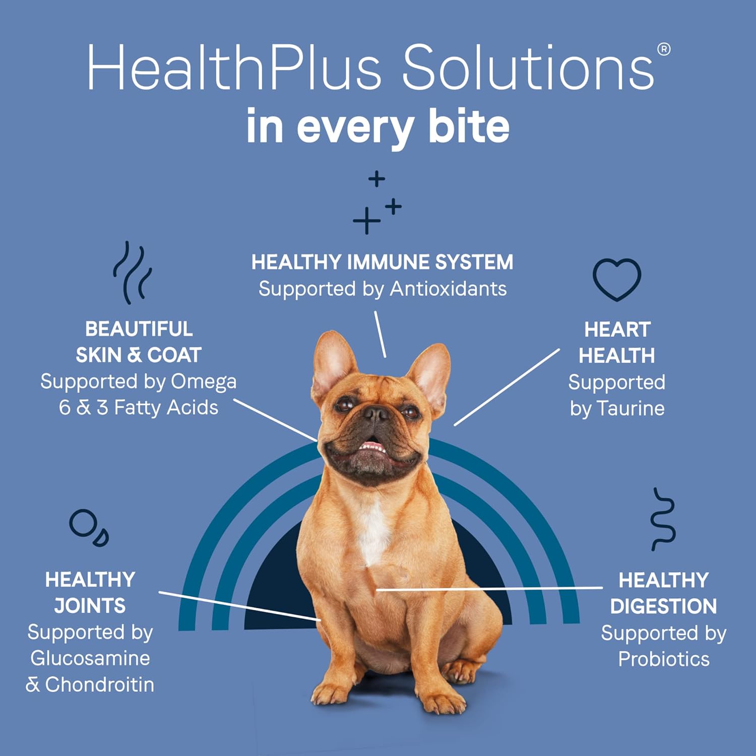 Canidae Pure Petite Premium Freeze-Dried Raw Coated Dog Food for Small Breeds, Real Salmon Recipe, 10 lbs, Grain Free - Image 8