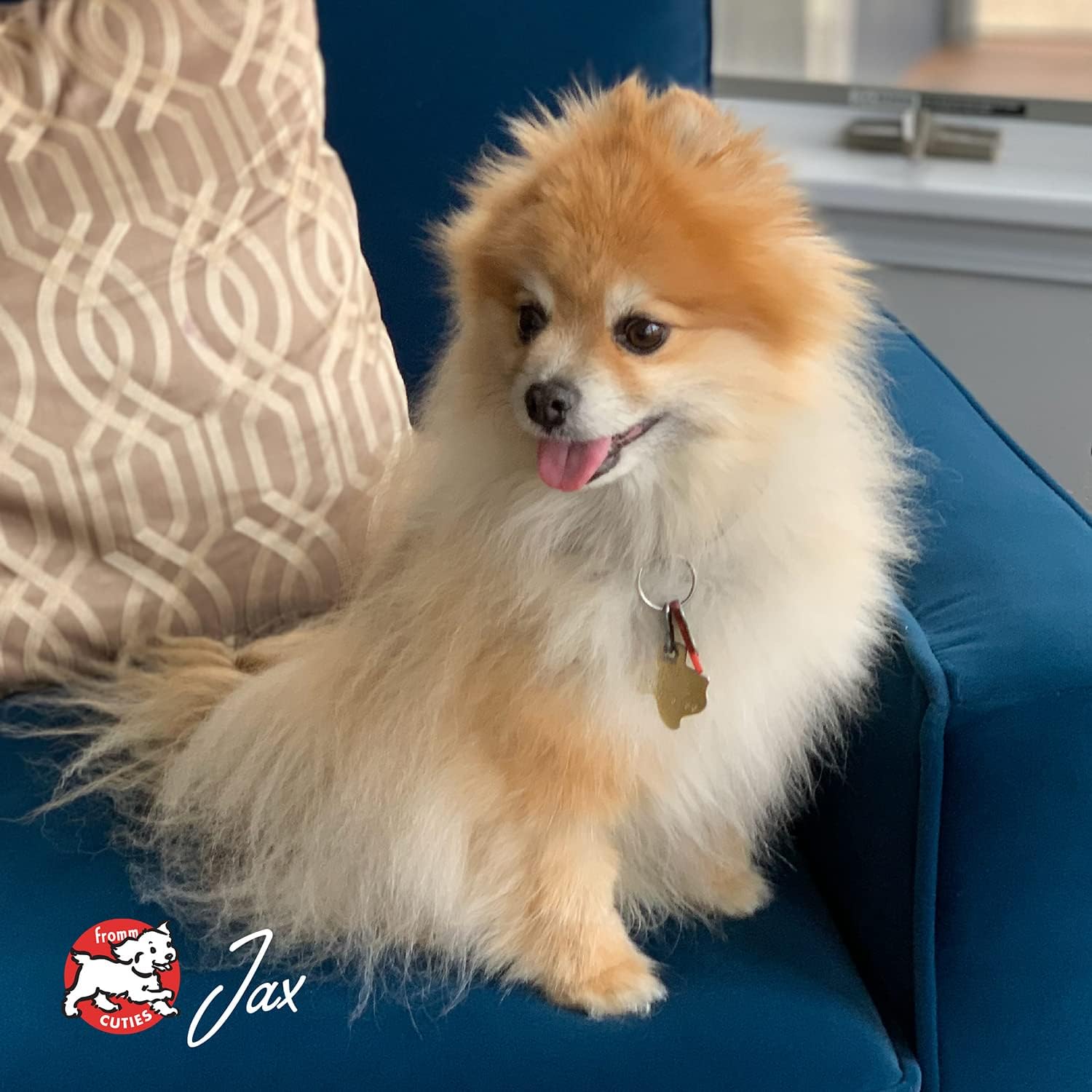 Fromm Small Breed Adult Gold Premium Dry Dog Food - Dry Adult Dog Food for Small Breeds - Chicken Recipe - 5 lb - Image 9