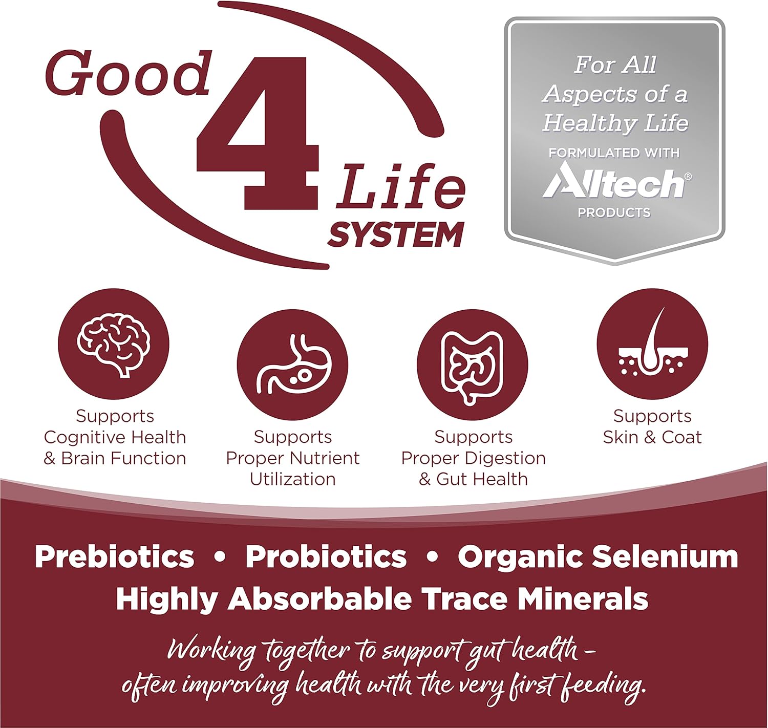 NutriSource Dry Dog Food, Beef and Rice, 26LB - Image 2