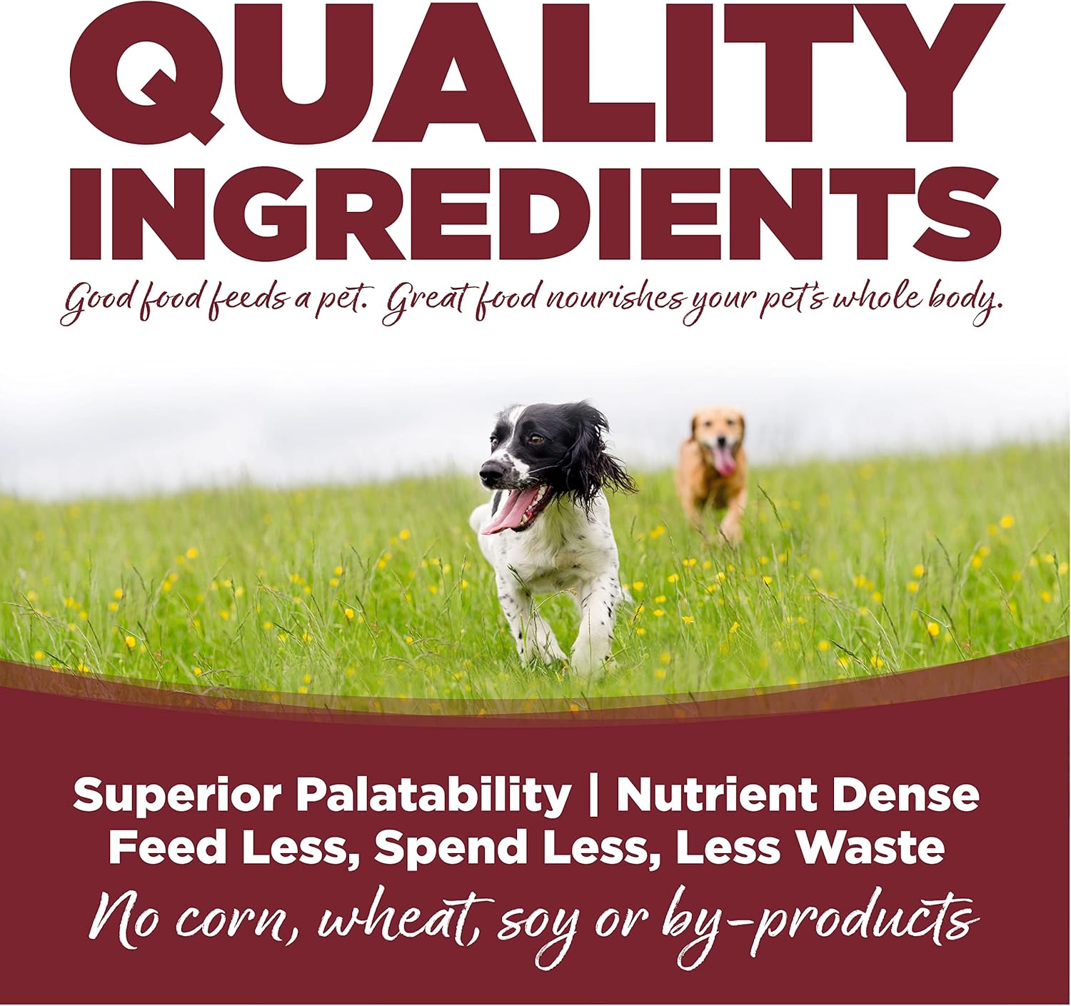 NutriSource Dry Dog Food, Beef and Rice, 26LB - Image 3