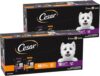 Cesar Filets in Gravy Wet Dog Food Filet Mignon Flavor and Rotisserie Chicken Flavor Variety Pack, 1.76 oz. Mini-Pouches, 20 Count (Pack of 2)
