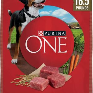 Purina ONE Dry Dog Food Lamb and Rice Formula - 16.5 lb. Bag