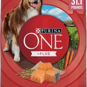 Purina ONE Natural, Sensitive Stomach Dry Dog Food, +Plus Skin & Coat Formula - 31.1 lb. Bag
