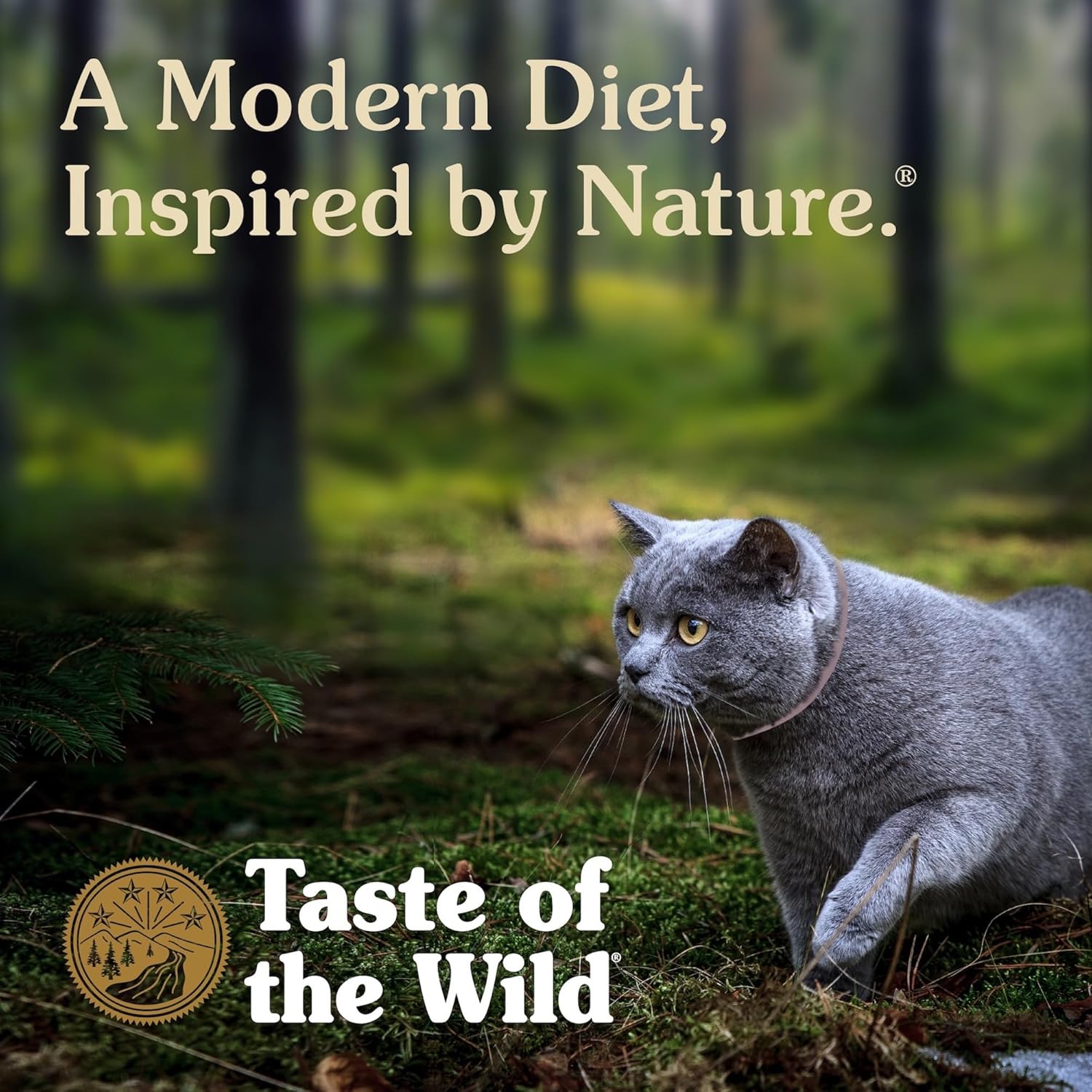 Taste Of The Wild Rocky Mountain Grain-Free Dry Cat Food With Roasted Venison & Smoke-Flavored Salmon 14lb (Pack of 1) - Image 6