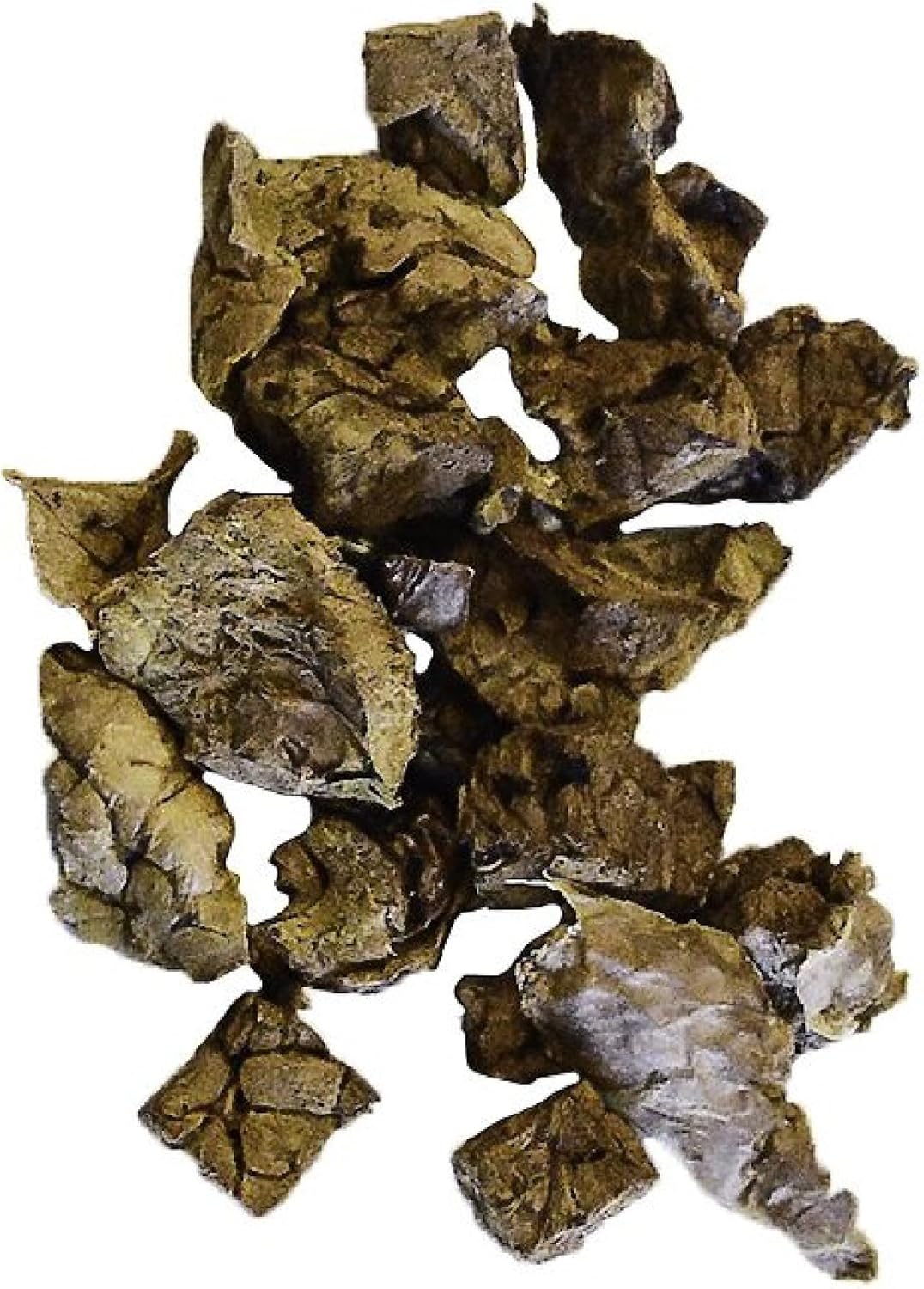 Nature's Logic Beef Lung treat Bites, 1lb, 1 Pack - Image 2