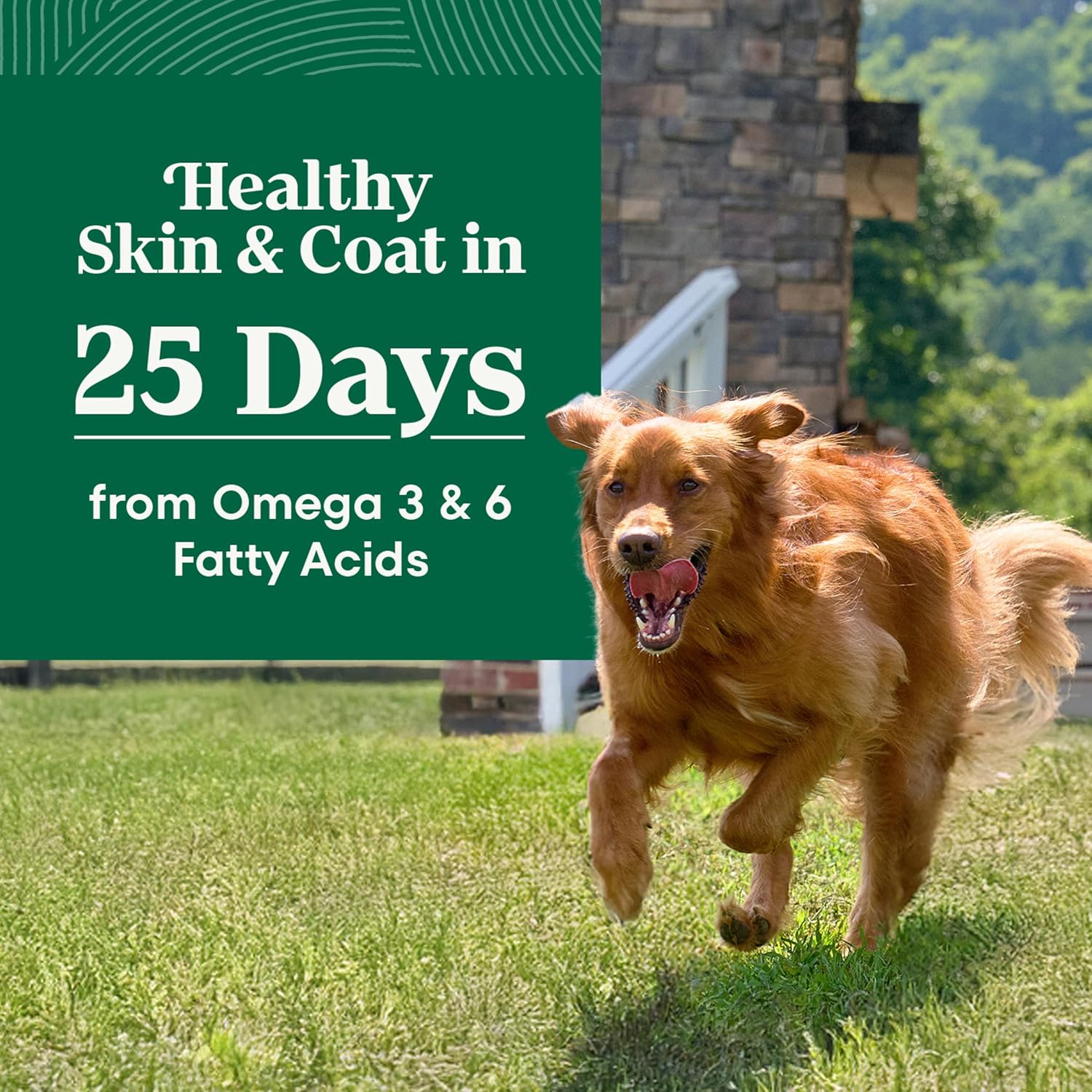 Nutro Natural Choice Adult Large Breed Dog Food Dry, Chicken & Brown Rice Recipe, 30 lb. Bag - Image 3