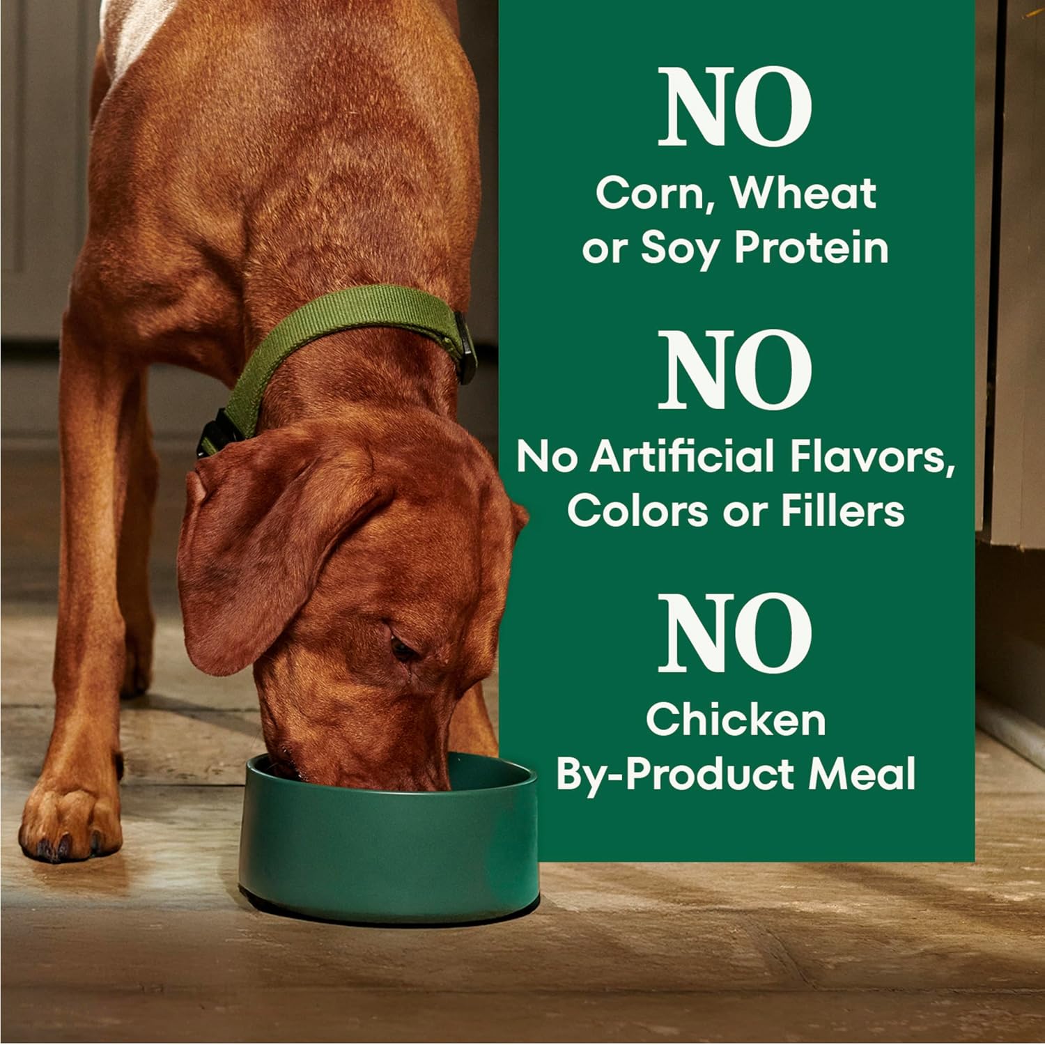 Nutro Natural Choice Adult Large Breed Dog Food Dry, Chicken & Brown Rice Recipe, 30 lb. Bag - Image 7