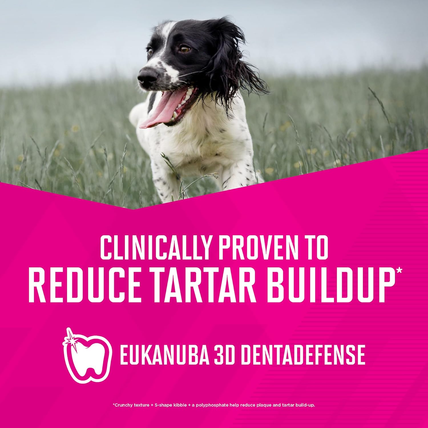 Eukanuba Adult Premium Performance 26/16 Exercise Dry Dog Food, 28 lb Bag - Image 10