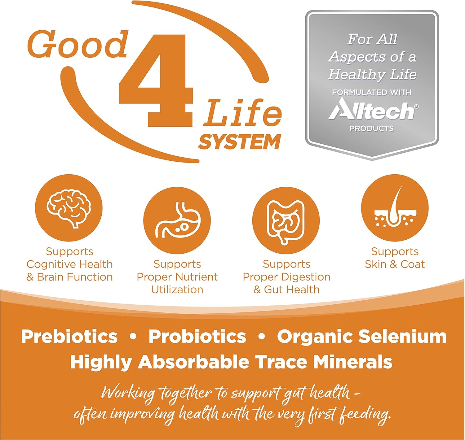 NutriSource Adult Dry Dog Food, Lamb Meal and Rice, 26LB - Image 2