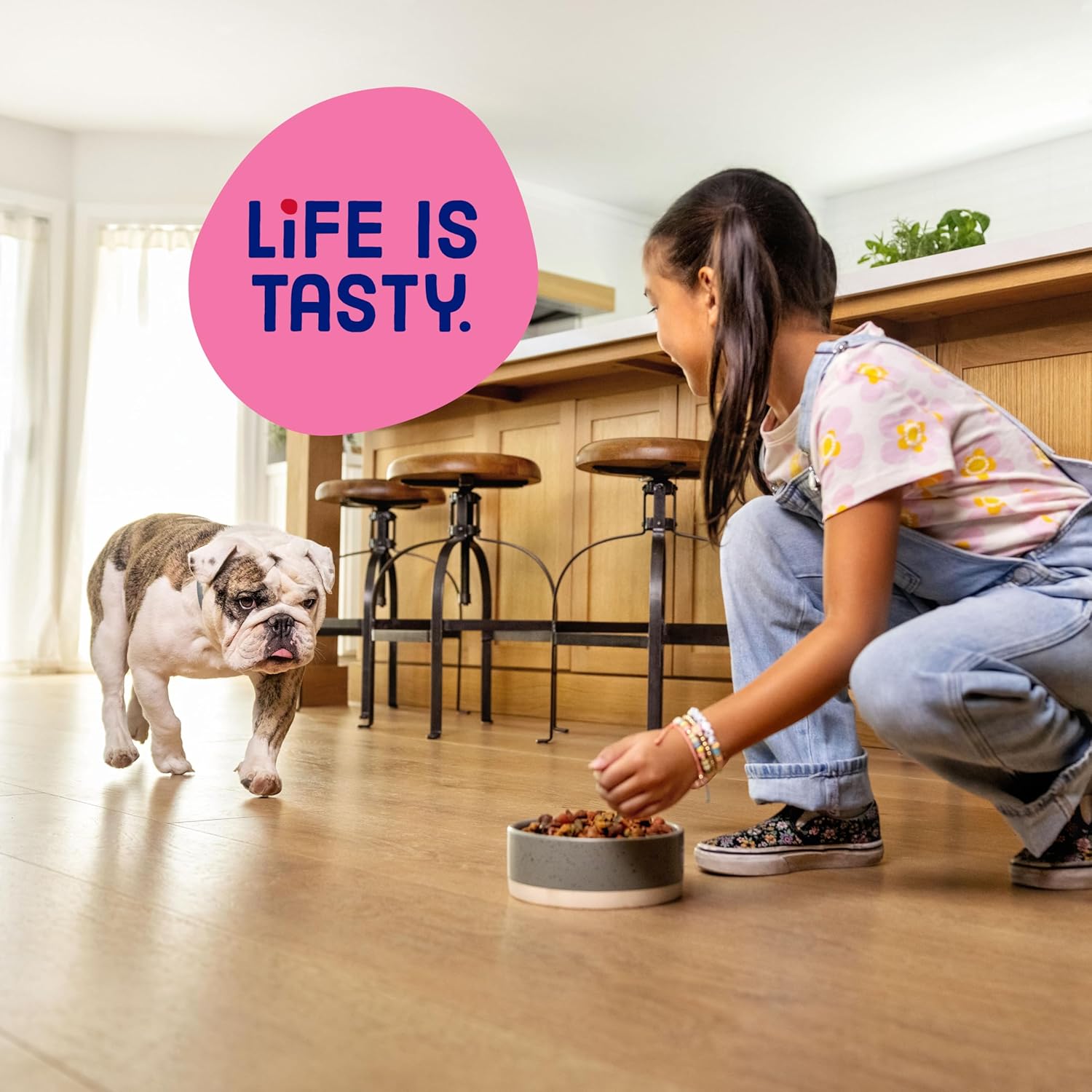 Kibbles ‘n Bits Bistro Mini Bits Small Breed Dry Dog Food, Oven Roasted Beef, Spring Vegetable and Apple Flavors for Adult Dogs, 3.5 lb. Bag (Pack of 4) - Image 6