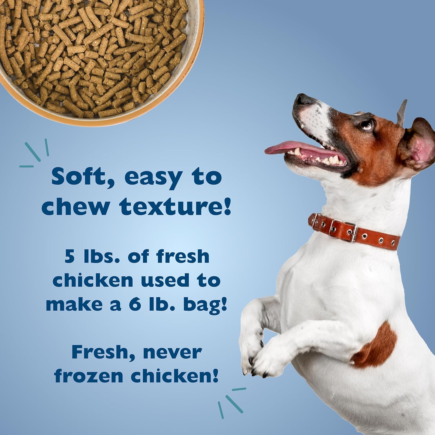 Bil-Jac Picky No More Small Breed Formula Dry Dog Food, All Life Stages, Made with Real Chicken Liver, 6lb (2-Pack) - Image 3