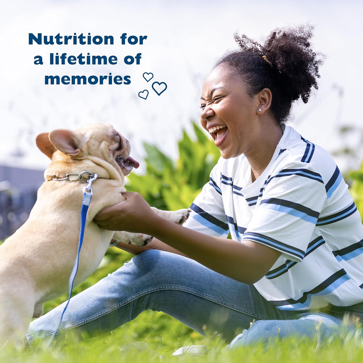 Bil-Jac Picky No More Small Breed Formula Dry Dog Food, All Life Stages, Made with Real Chicken Liver, 6lb (2-Pack) - Image 5