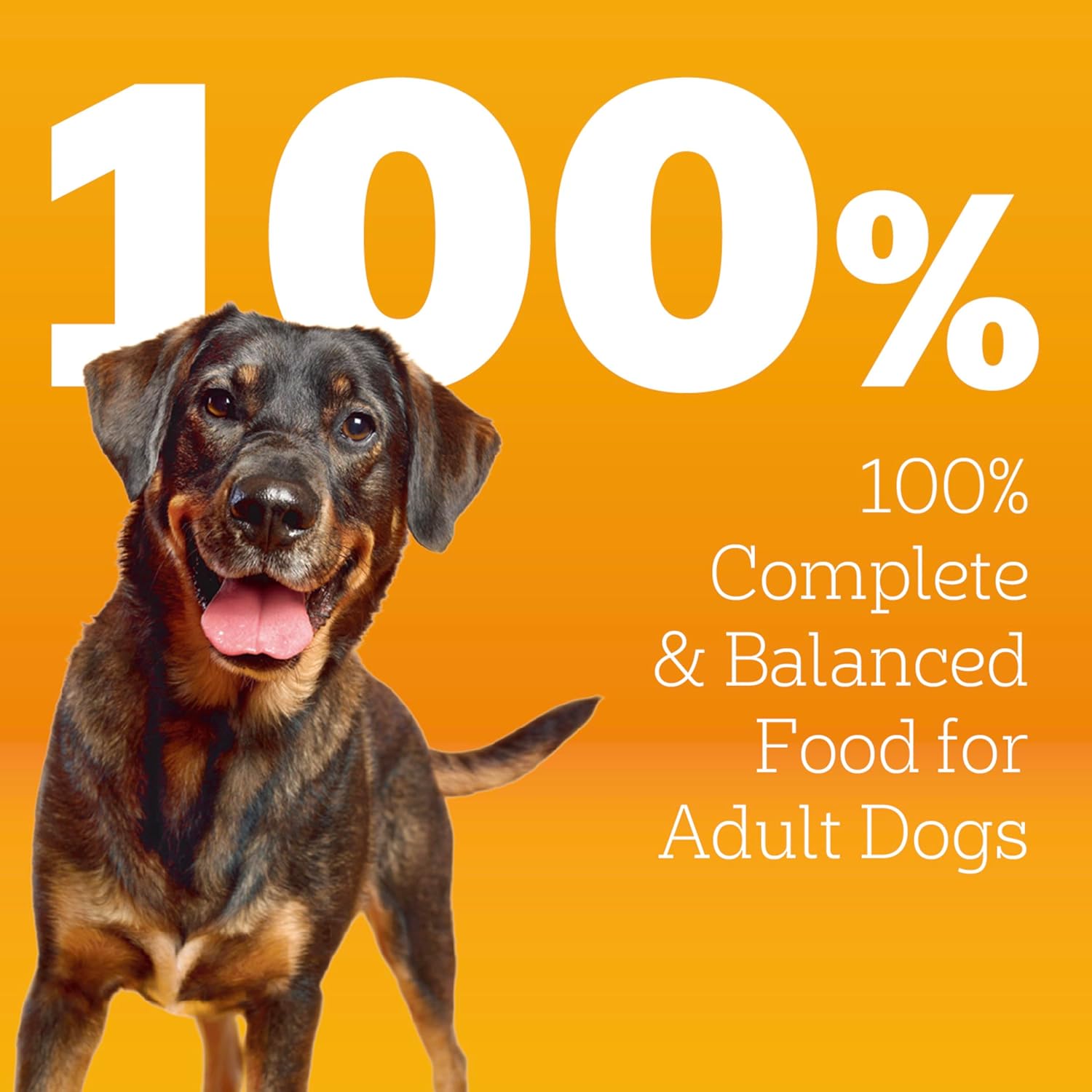 Pedigree High Protein Adult Dry Dog Food, Beef and Lamb Flavor, 18 lb. Bag - Image 3