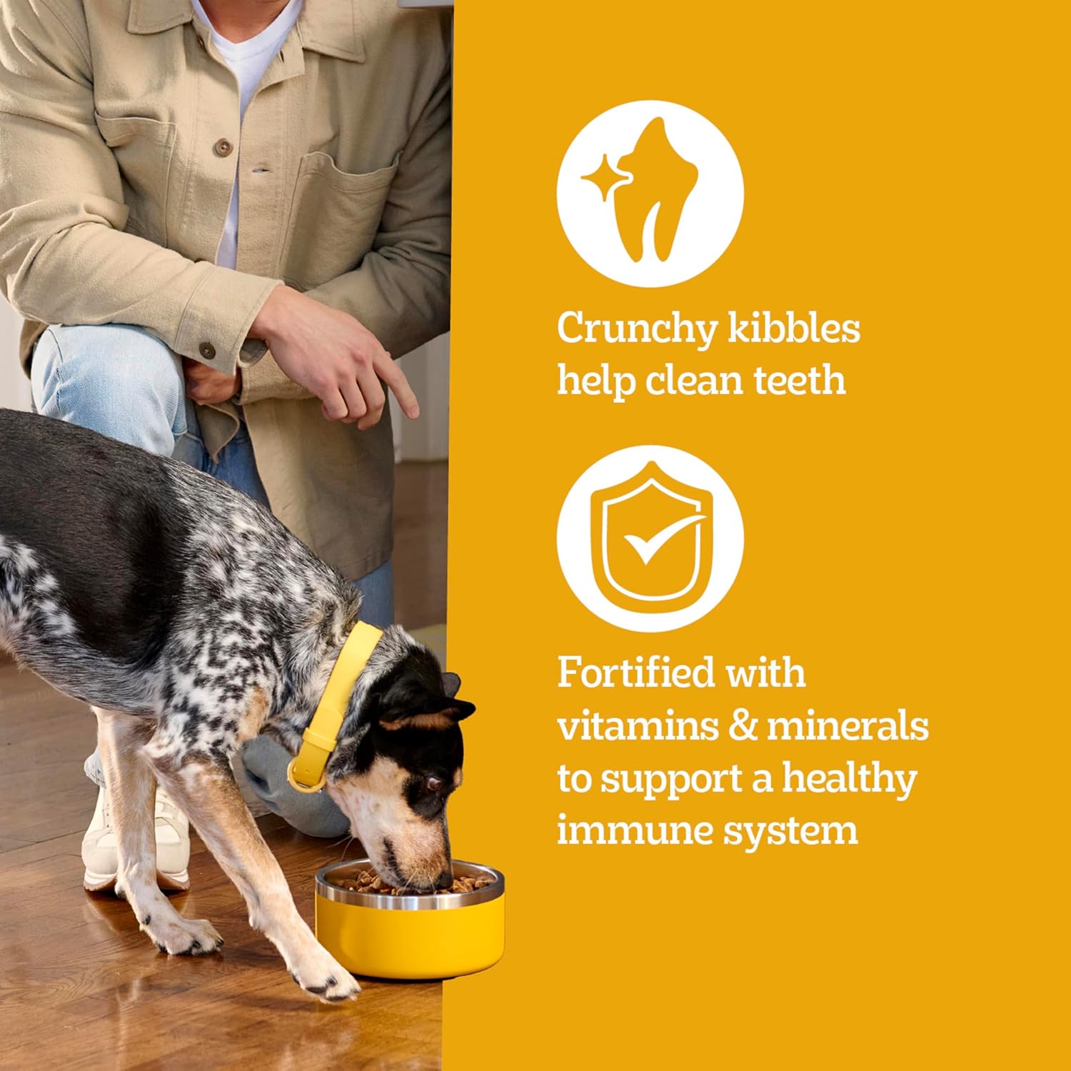 Pedigree High Protein Adult Dry Dog Food, Beef and Lamb Flavor, 18 lb. Bag - Image 6