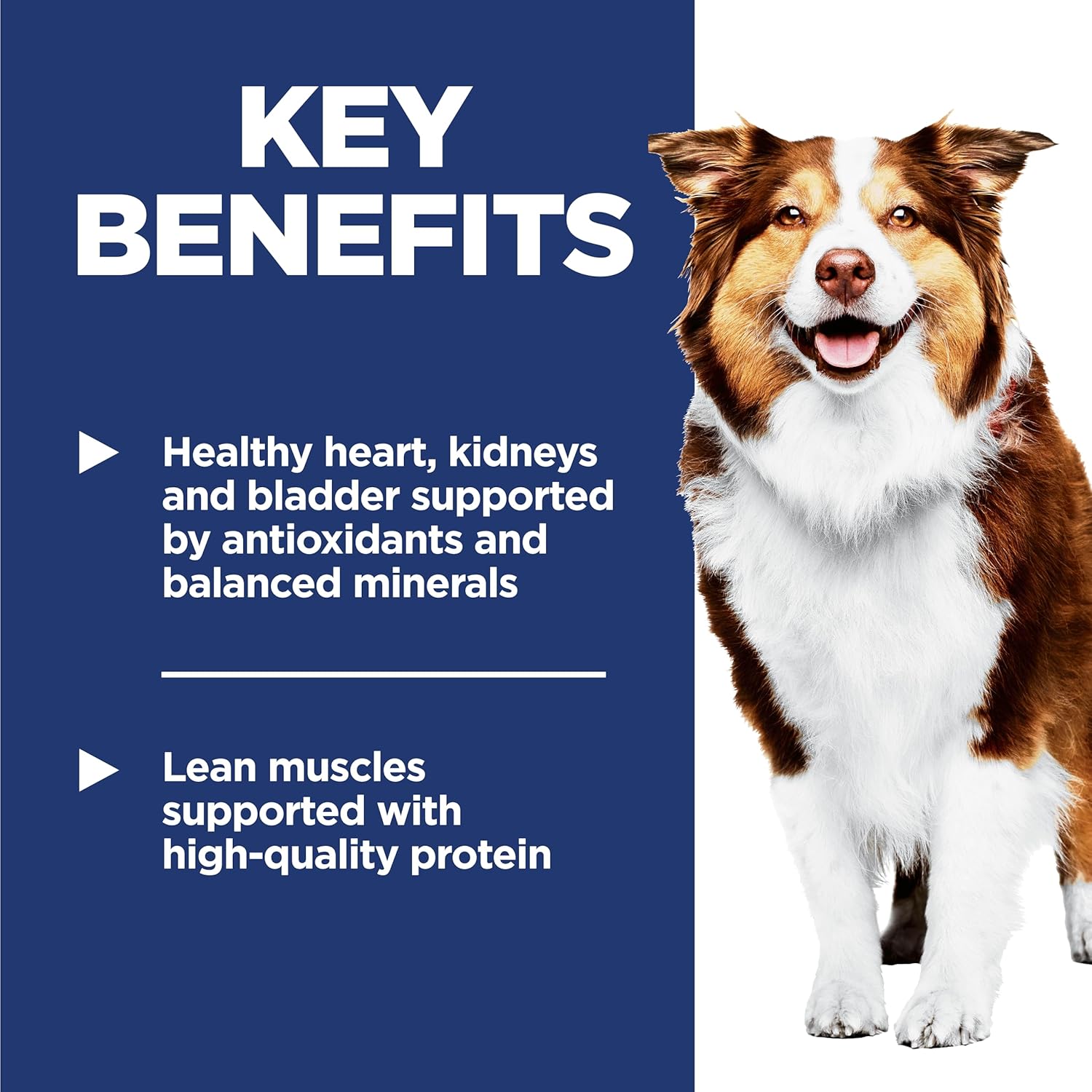 Hill's Science Diet Adult 7+, Senior Adult 7+ Premium Nutrition, Dry Dog Food, Chicken, Brown Rice, & Barley, 33 lb Bag - Image 4