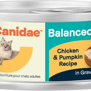 Canidae Balanced Bowl Wet Cat Food, Chicken & Pumpkin Recipe, 3 oz. (Case of 24)