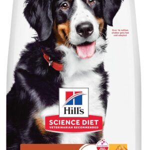 Hill's Science Diet Large Breed Adult Dry Dog Food 1-5, Quality Protein for Joint Support & Lean Muscles, Chicken & Barley, 35 lb. Bag
