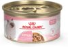 Royal Canin Feline Health Nutrition Kitten Thin Slices in Gravy Cat Food, 3 oz (Pack of 24)
