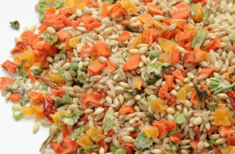 Dog Food With Real Ingredients: What Should Pet Parents Look For?